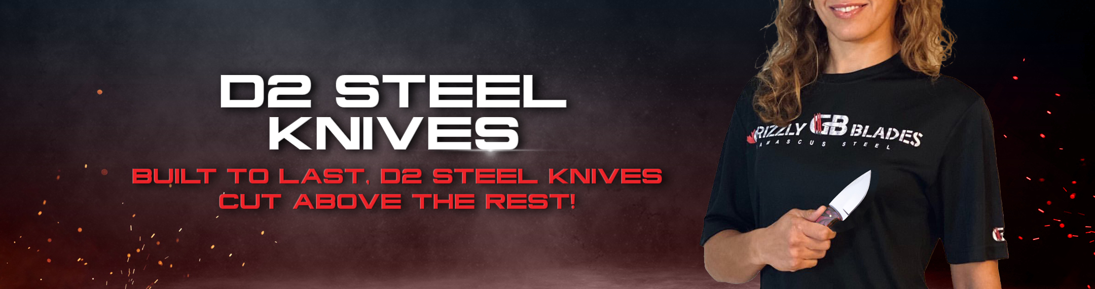 d2 steel d2 steel
