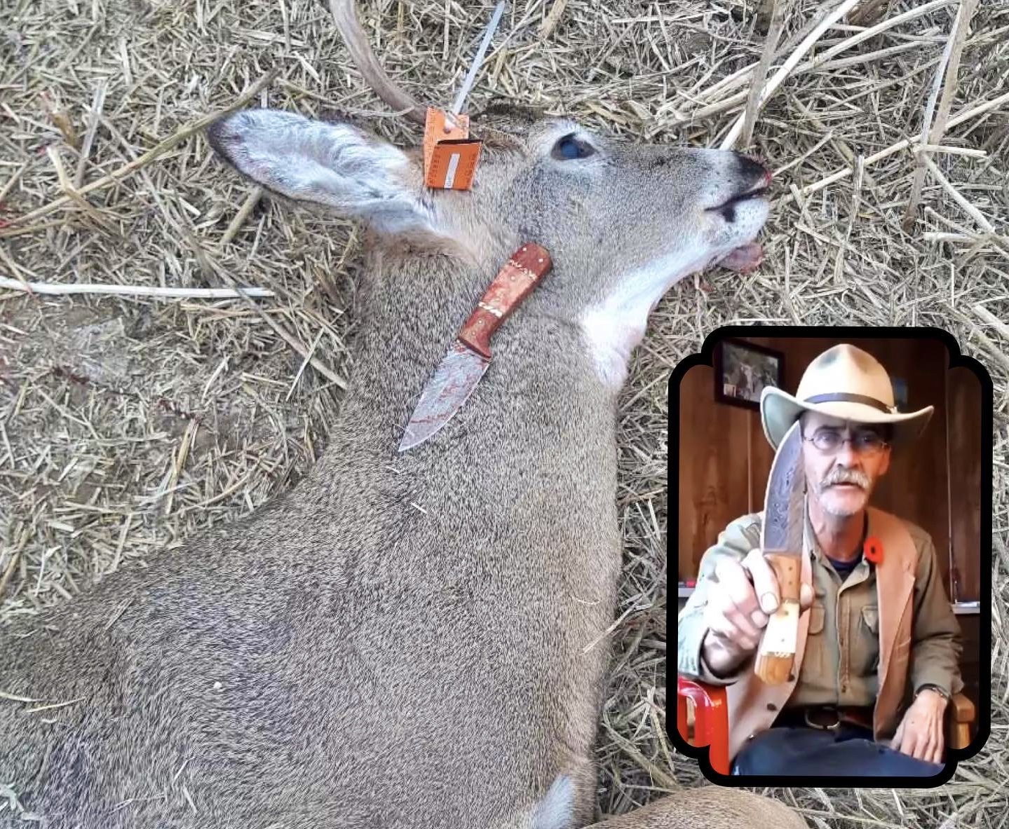 What is the best knife to skin a deer
