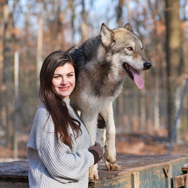 Aspen Valley Wolves