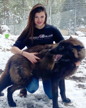 Aspen Valley Wolves