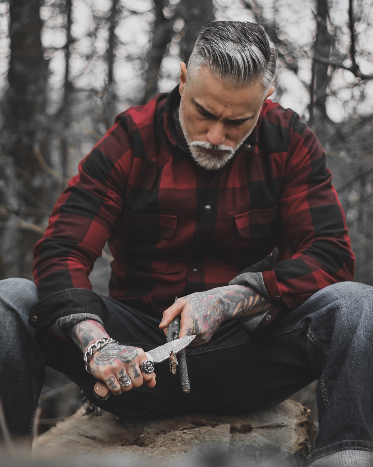 Alessandro Silverfox